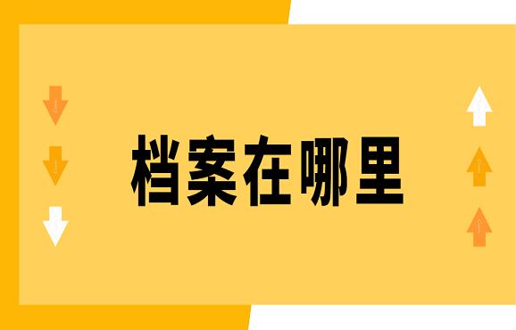 漳州檔案查詢：